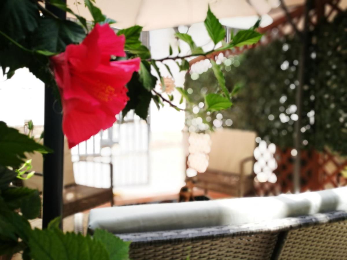 Bella Palermo Bed & Breakfast Exterior photo
