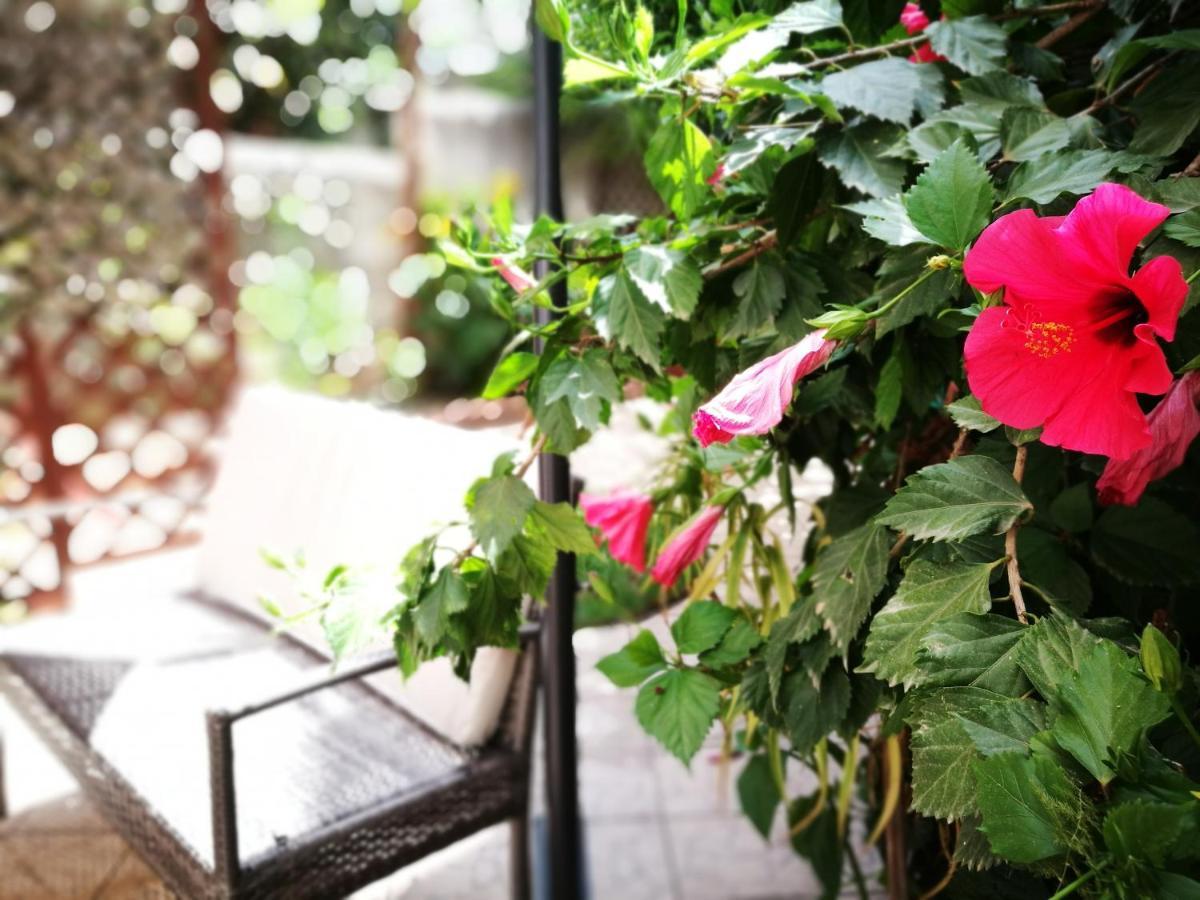 Bella Palermo Bed & Breakfast Exterior photo